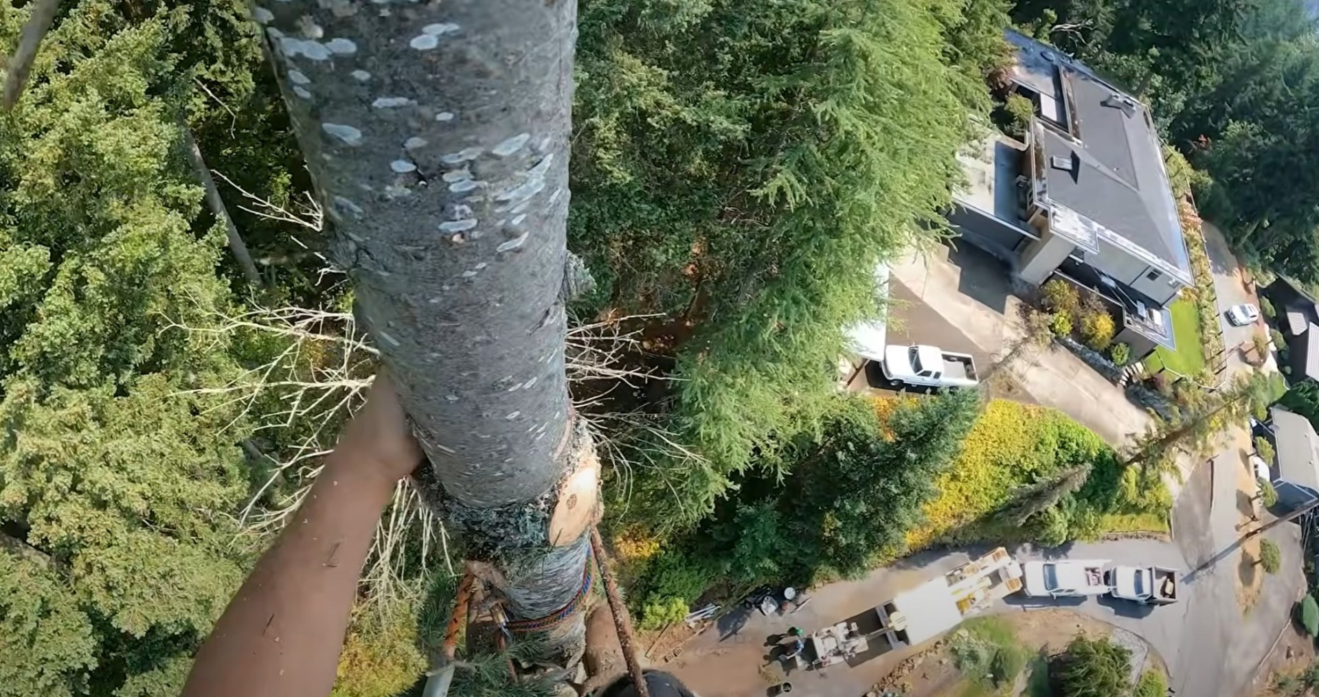 Precision tree removal near homes - Expert residential tree services with safety focus Aerial view of professional tree removal service near residential home showing precision and safety measures