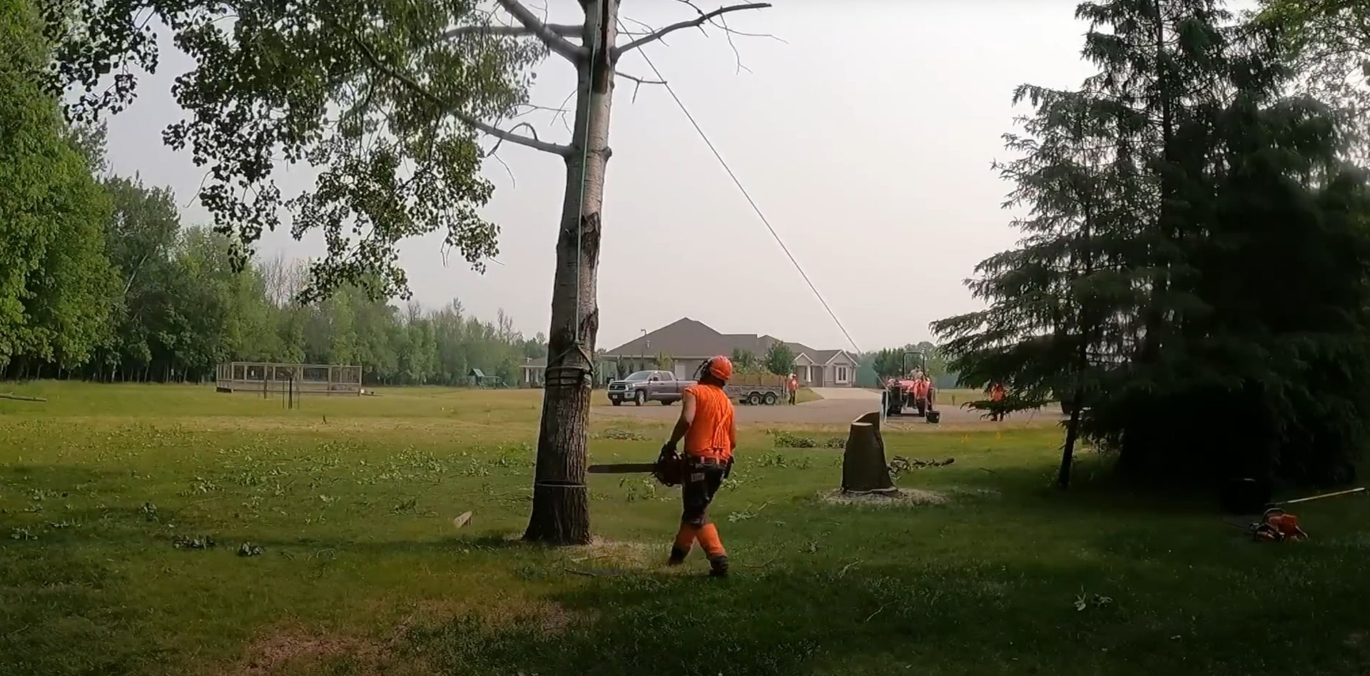 Residential tree removal services - Safe and efficient tree cutting in neighborhoods Tree service specialist cutting down tree in residential area with professional safety equipment