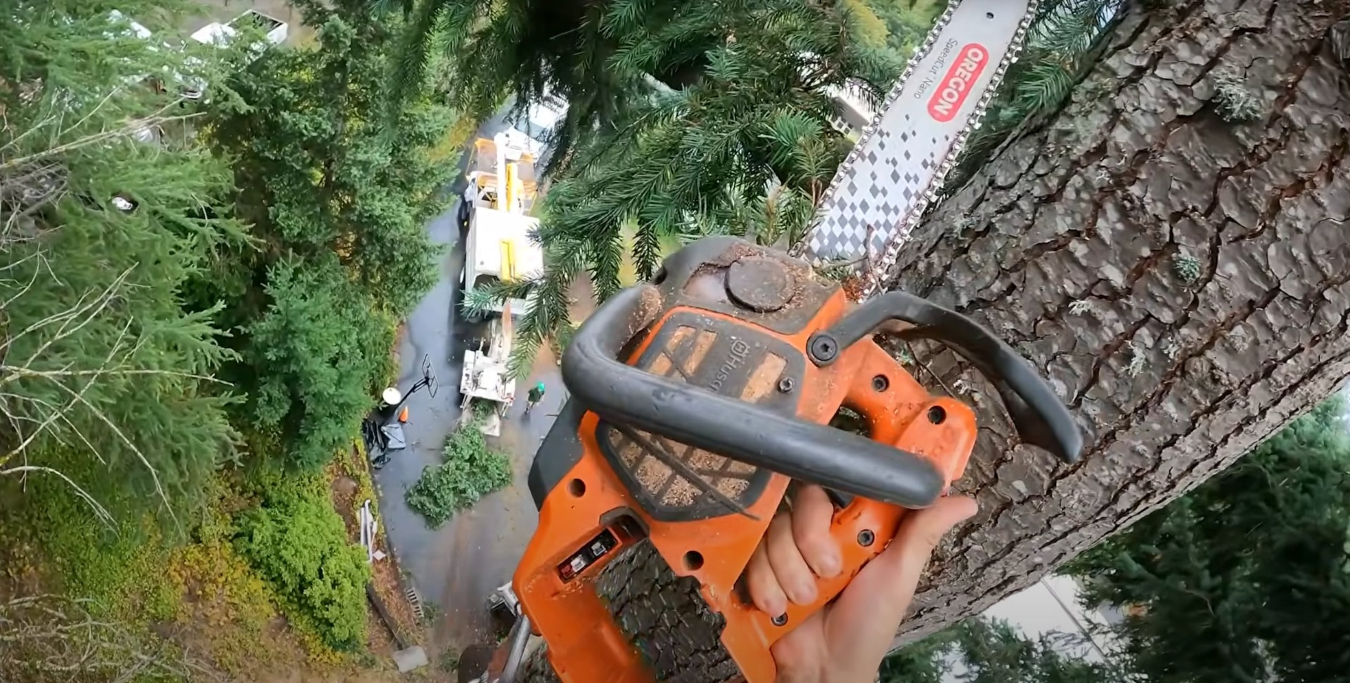 Expert tree maintenance from height - Professional climbing and cutting techniques Professional arborist using chainsaw from elevated position during tree service and maintenance work