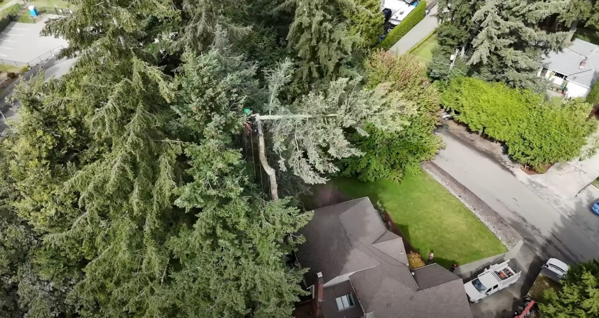 Emergency tree services - Professional crew responding to tree emergencies near homes Aerial view of emergency tree service crew working safely near residential home with professional equipment