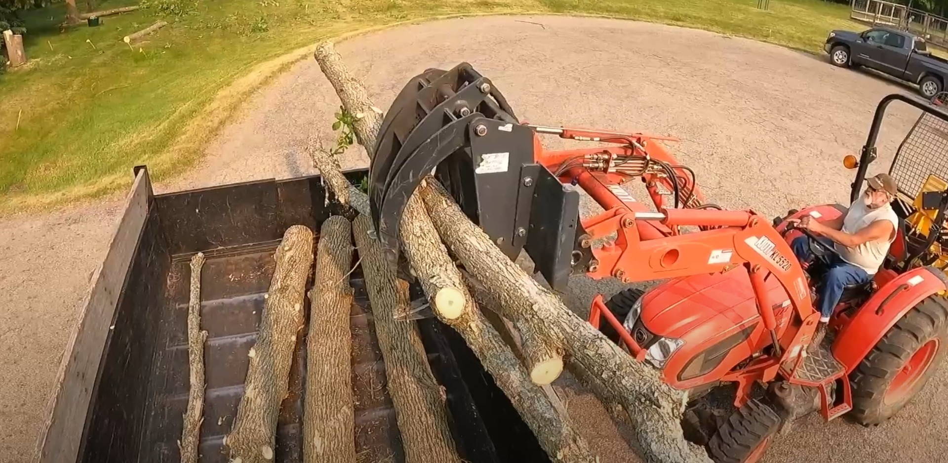 Comprehensive tree care services showing various aspects of professional tree maintenance