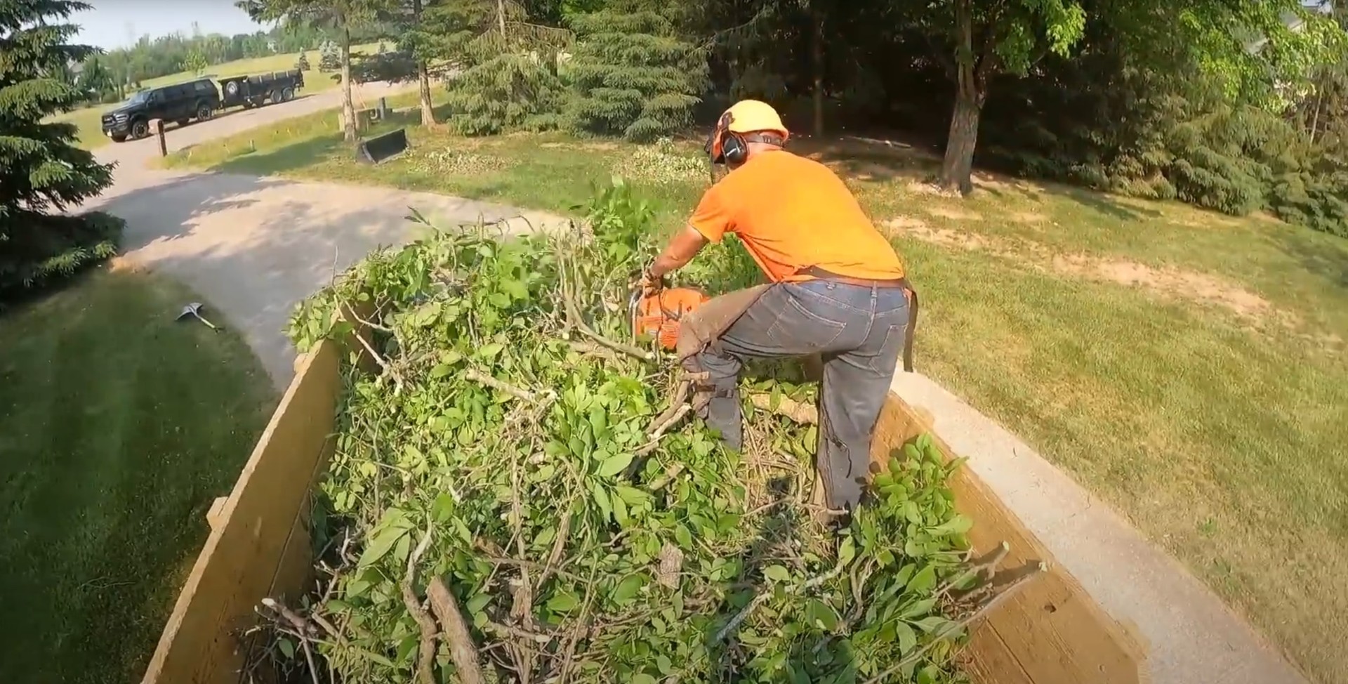 Stump grinding services - Complete stump removal and yard restoration Arborist using chainsaw for stump grinding and removal work in residential yard setting