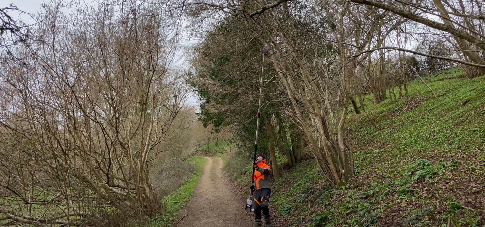 Professional land clearing services - Expert tree management for property development Tree service professional with chainsaw working along wooded path for land clearing and maintenance